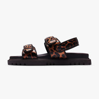 Savanna Leopard